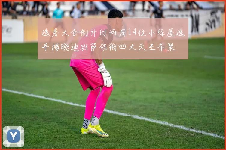 选秀大会倒计时两周14位小绿屋选手揭晓迪班萨领衔四大天王齐聚
