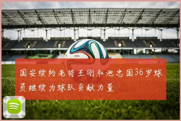 国安续约老将王刚和池忠国36岁球员继续为球队贡献力量